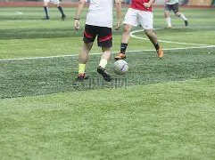 童瑶荣膺视,后感言,致敬坚韧不,米兰体育平台,米兰体育官方网站,米兰体育登录入口,米兰体育app下载