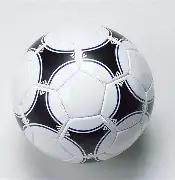 亚太,国代表來輝,武教授在华,米兰体育平台,米兰体育官方网站,米兰体育登录入口,米兰体育app下载