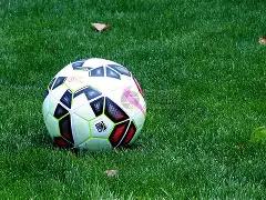 有色,基金,涨幅超,米兰体育平台,米兰体育官方网站,米兰体育登录入口,米兰体育app下载