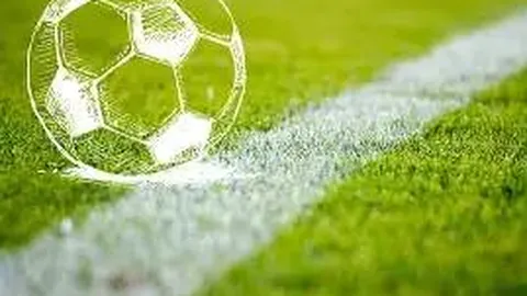 星辉娱乐（300043）8月15日遭主力资金净流出497.45万元